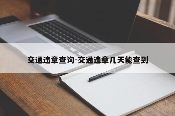 交通违章查询-交通违章几天能查到