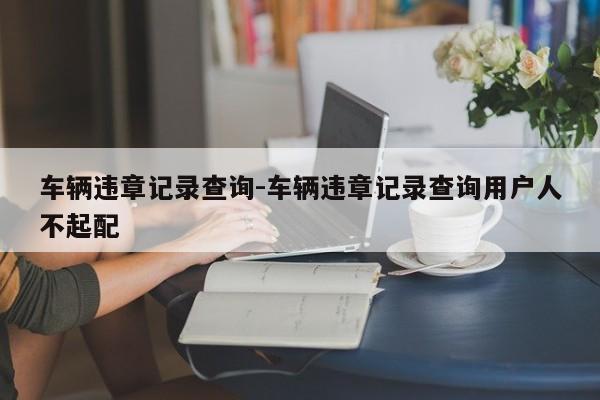 车辆违章记录查询-车辆违章记录查询用户人不起配