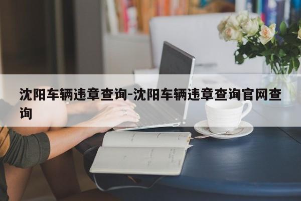 沈阳车辆违章查询-沈阳车辆违章查询官网查询