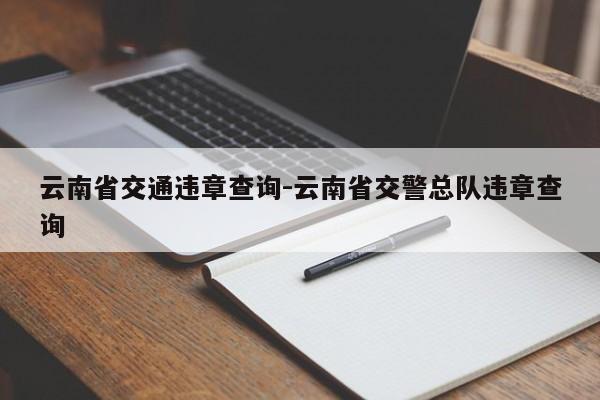 云南省交通违章查询-云南省交警总队违章查询