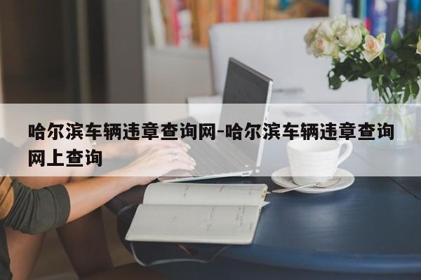 哈尔滨车辆违章查询网-哈尔滨车辆违章查询网上查询